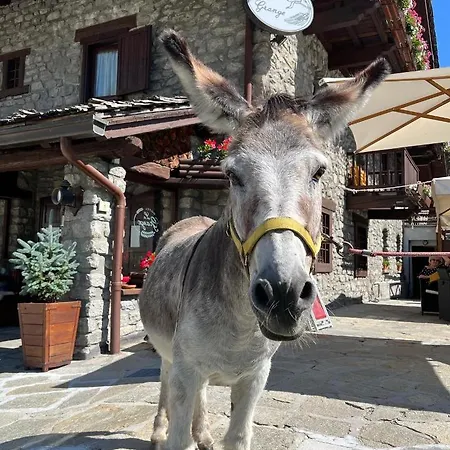 La Grange - Animal Chic