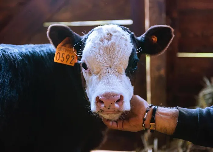 فندق La Grange - Animal Chic