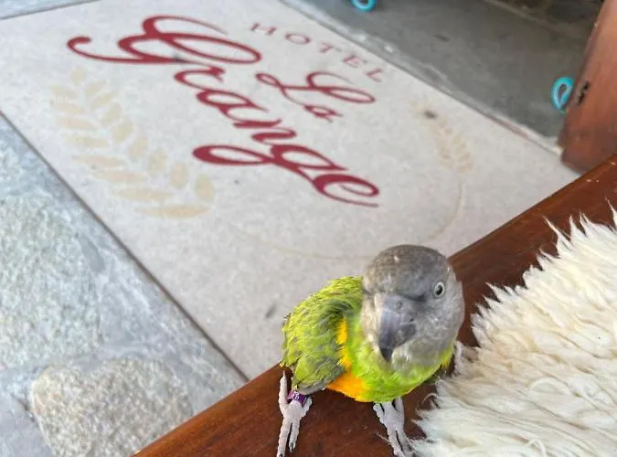 فندق La Grange - Animal Chic كورمايور