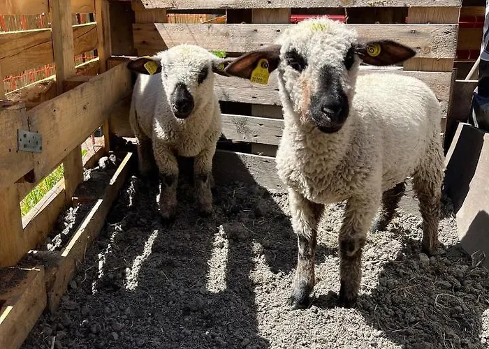 فندق La Grange - Animal Chic كورمايور