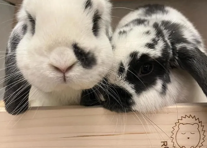 فندق La Grange - Animal Chic