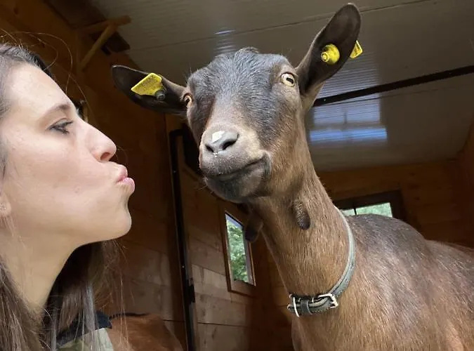 La Grange - Animal Chic