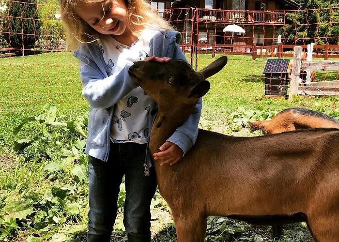 La Grange - Animal Chic فندق كورمايور