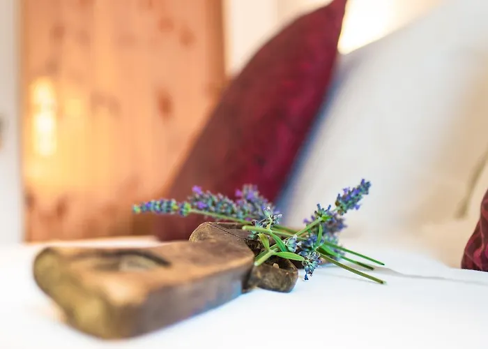 La Grange - Animal Chic كورمايور