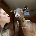 La Grange - Animal Chic