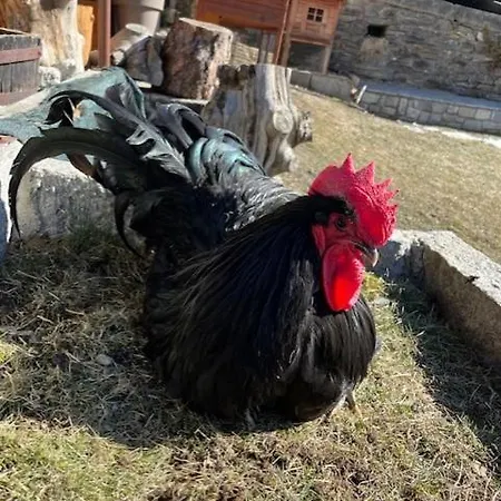 La Grange 3*