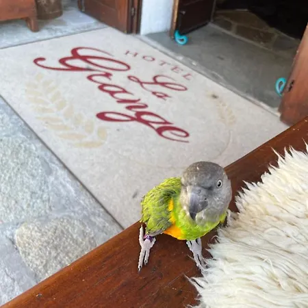 Otel La Grange - Animal Chic Courmayeur