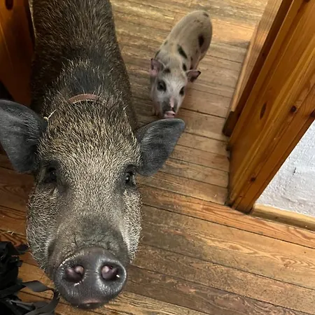 La Grange Courmayeur