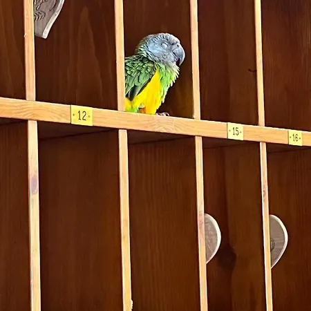 La Grange - Animal Chic Courmayeur