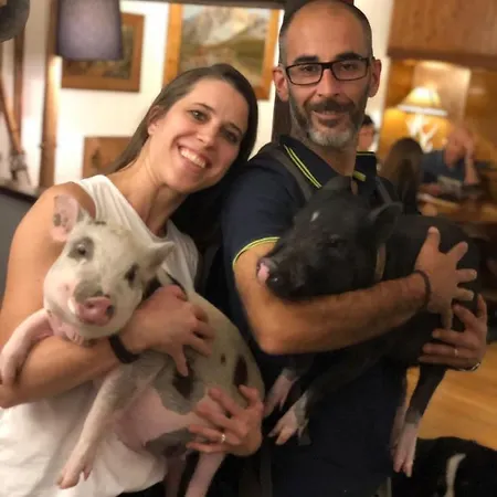 La Grange - Animal Chic