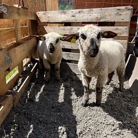 Hotel La Grange Courmayeur