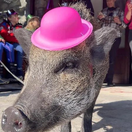 La Grange - Animal Chic Courmayeur