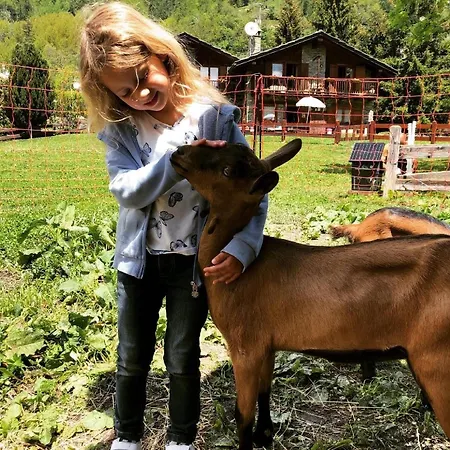 La Grange - Animal Chic Hotell Courmayeur