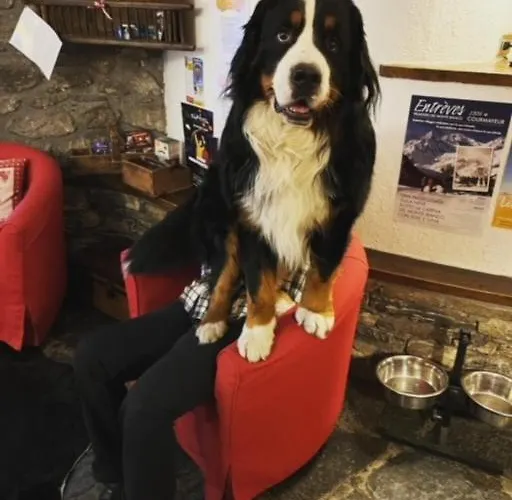 La Grange - Animal Chic Courmayeur