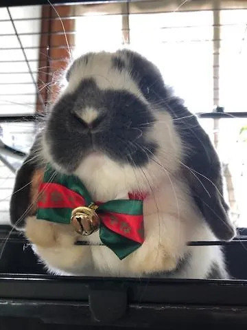 La Grange - Animal Chic 3*