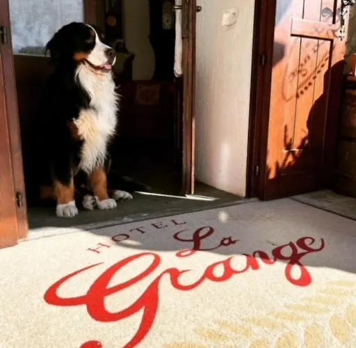 La Grange - Animal Chic