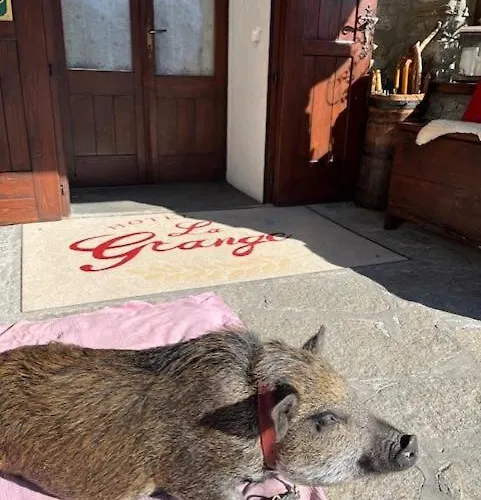 Szálloda La Grange - Animal Chic Courmayeur