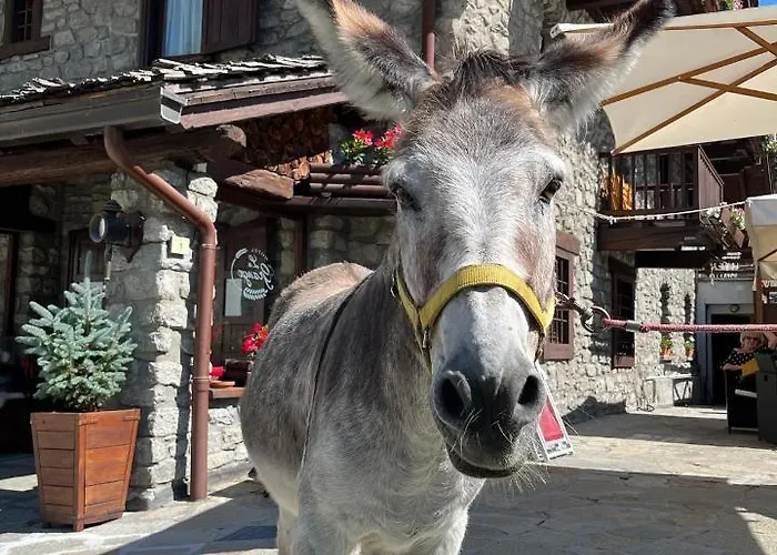 La Grange - Animal Chic