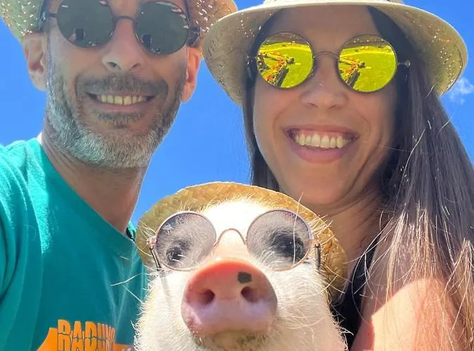 La Grange - Animal Chic 3* Courmayeur