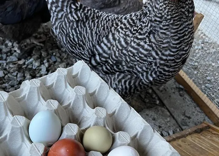 Hotel La Grange - Animal Chic 3*