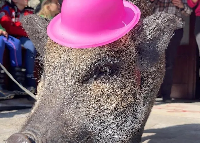 La Grange - Animal Chic Курмайор