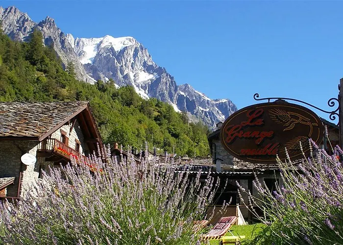 La Grange - Animal Chic Courmayeur