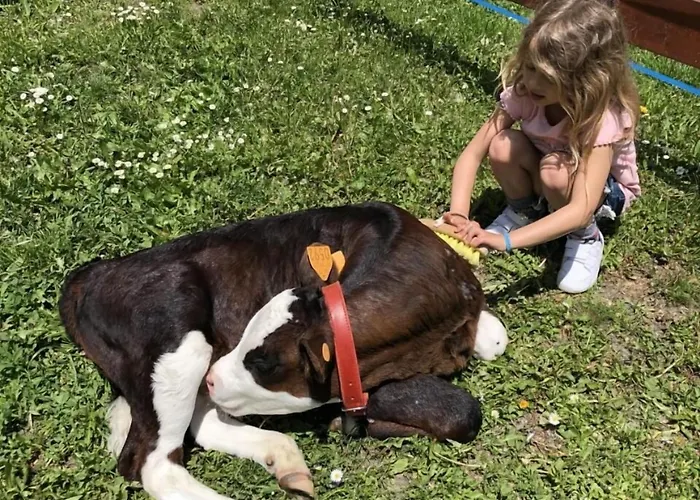 La Grange - Animal Chic 3* Курмайор